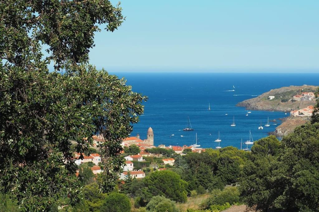 Villa Collioure Mar I Munt Εξωτερικό φωτογραφία